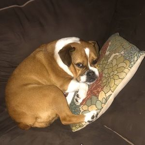 Meet your Posher, Heather